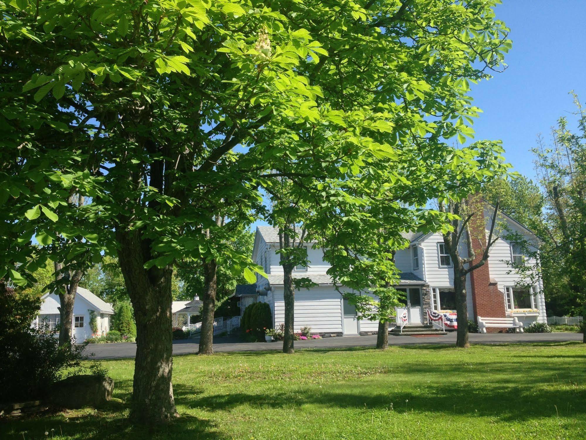 Lukans Farm Resort Hawley Eksteriør billede