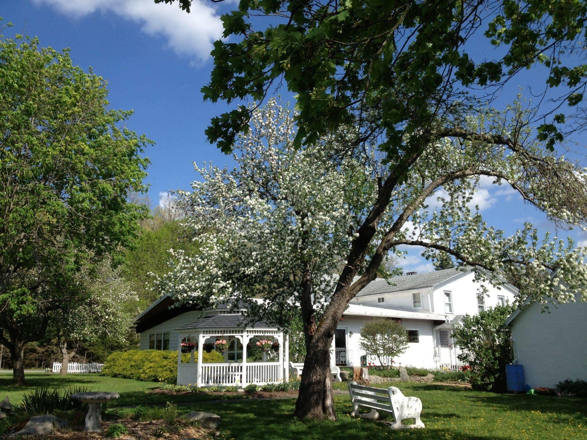 Lukans Farm Resort Hawley Eksteriør billede
